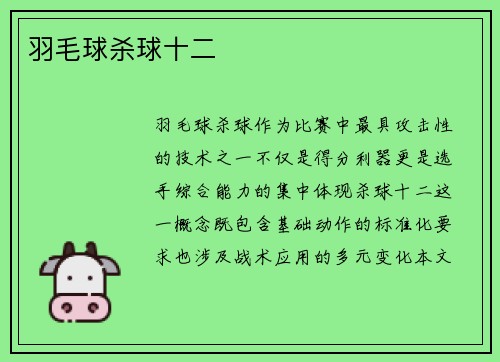 羽毛球杀球十二